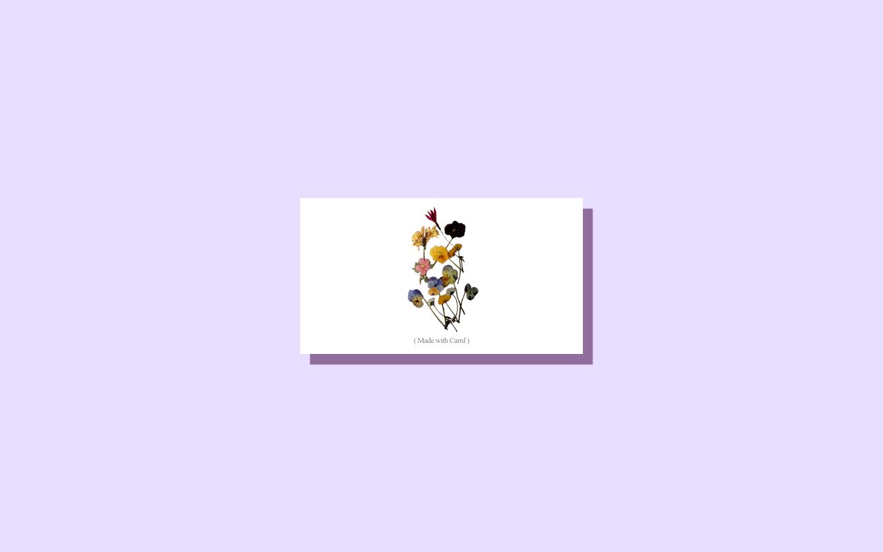 Carrd profile picture for @illuminate
